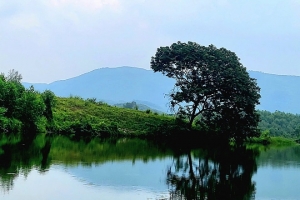 Người gieo mộng chè trên sóng nước hồ Ghềnh Chè Thái Nguyên