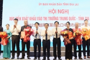 Gia Lai xúc tiến xuất khẩu vào thị trường Trung Quốc