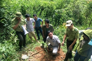 Nghệ An phê duyệt danh sách cộng đồng dân cư được thụ hưởng nguồn thu giảm phát thải khí nhà kính