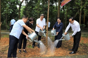 Supe Lâm Thao hưởng ứng chương trình trồng cây tại Khu di tích lịch sử Đền Hùng