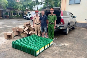 Đồng Nai: Bắt giữ xe tải chở hàng trăm lít thuốc diệt cỏ không rõ nguồn gốc