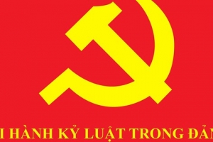Bộ Chính trị, Ban Bí thư kỷ luật tổ chức đảng, đảng viên vi phạm