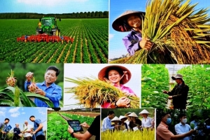 AFD ấn tượng với Việt Nam: Từ giảm nghèo ngoạn mục đến tăng trưởng xanh