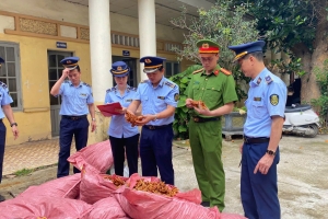 Lạng Sơn tăng cường kiểm soát, xử lý buôn lậu thực phẩm và gia cầm giống qua biên giới