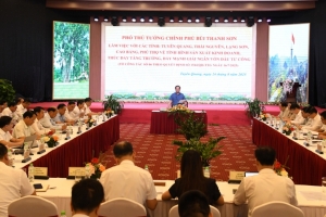 Phó Thủ tướng Bùi Thanh Sơn làm việc với 5 địa phương để thúc đẩy tăng trưởng, đầu tư công