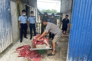 Chống dịch tả lợn châu Phi: Lực lượng Quản lý thị trường Thái Nguyên tăng cường kiểm soát