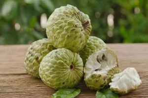 Quả na: Lợi ích sức khỏe dồi dào nhưng cần cẩn trọng khi sử dụng