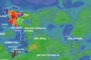 Dự báo thời điểm bão số 5 tan trong 12 giờ tới