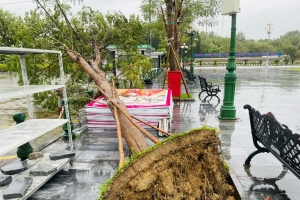 Bão số 5 đã gây thương vong về người và nhiều thiệt hại vật chất tại các địa phương