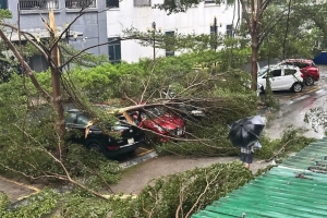 Nhanh chóng khắc phục hậu quả bão số 5 và mưa lũ, khôi phục sản xuất, kinh doanh, ổn định tình hình Nhân dân