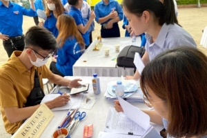 Kế hoạch triển khai thi hành Luật Việc làm