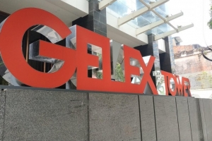 Gelex chốt quyền trả cổ tức tiền mặt vào ngày 11/9