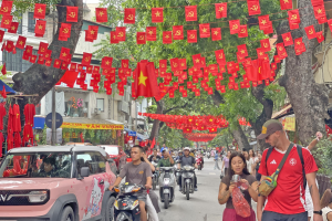 Nhà tôi có một lá cờ, đất nước tôi có triệu triệu lá cờ