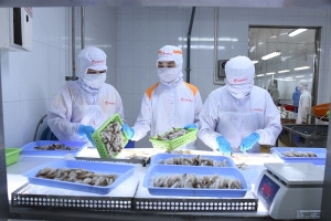 Cà Mau cải thiện và nâng cao Chỉ số đổi mới sáng tạo giai đoạn 2025 – 2030