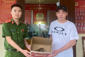 Một cá thể cu li nhỏ được thả về rừng sau khi đi lạc vào nhà dân ở Nghệ An