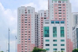 CDC có cổ đông lớn mới ngay trước thềm tăng vốn