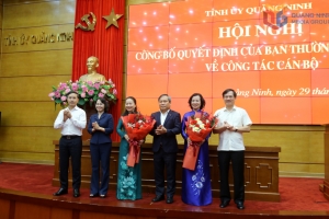 Bà Vi Ngọc Bích giữ chức Trưởng Ban Tổ chức Tỉnh ủy Quảng Ninh