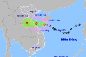 Nghệ An tạm dừng hoạt động tàu thuyền để ứng phó áp thấp nhiệt đới