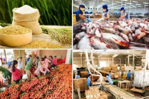 Thủ tướng yêu cầu tăng cường truy xuất nguồn gốc nông sản, giữ vững uy tín hàng Việt