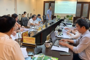Hỗ trợ quản lý và phát triển nhãn hiệu tập thể “Chuối Liên Khê, Thủy Nguyên - Hải Phòng”