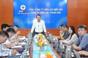 Ghi nhận nỗ lực khắc phục hậu quả bão số 5 của Công ty Điện lực Thanh Hóa