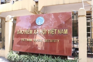 Bổ nhiệm Hội đồng quản lý bảo hiểm xã hội