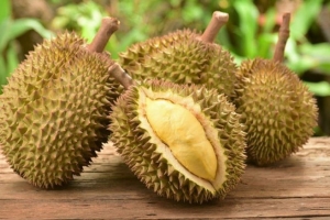 Giá sầu riêng hôm nay 3/9: Thị trường ổn định