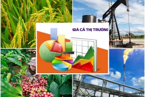 Giám sát chặt chẽ biến động giá cả thị trường, đặc biệt là hàng hóa, dịch vụ tiêu dùng thiết yếu