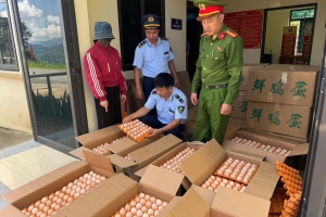Phát hiện 10.000 quả trứng gà nhập lậu ở Tuyên Quang