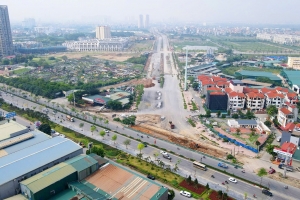 Hà Nội: Di chuyển, chặt hạ 2.628 cây xanh phục vụ dự án đường Vành đai 3,5