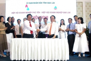 Đắk Lắk: Hợp nhất hiệp hội doanh nghiệp hai tỉnh sau sáp nhập