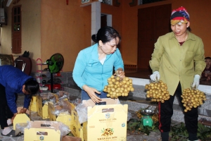 Bắc Ninh: Xuất khẩu gần 10 tấn nhãn tươi vào thị trường Úc