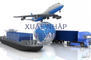 Thu ngân sách từ xuất nhập khẩu đạt gần 300.000 tỷ đồng trong 8 tháng đầu năm 2025