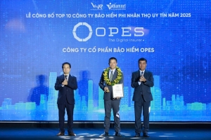 OPES - Top 10 Công ty bảo hiểm phi nhân thọ uy tín nhất Việt Nam 2025