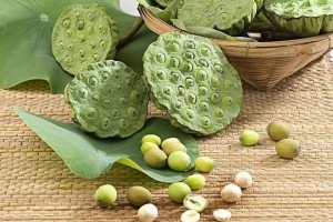 Lợi ích dồi dào nhưng cần cẩn trọng: 5 nhóm người nên hạn chế ăn hạt sen