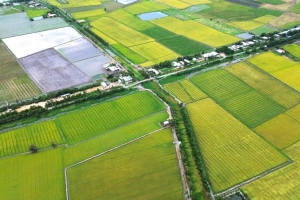 Tây Ninh đẩy nhanh công tác đấu giá quyền sử dụng đất