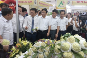 Lạng Sơn chú trọng nâng cao năng suất, chất lượng sản phẩm, hàng hóa, dịch vụ giai đoạn 2026 – 2030