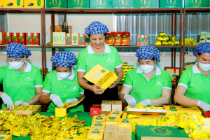 Kiện toàn Ban Chỉ đạo quốc gia về kinh tế tập thể