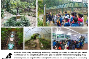 Khởi công xây dựng giai đoạn 2 Trung tâm Cứu hộ gấu Việt Nam
