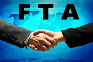 Thúc đẩy đàm phán FTA với Mercosur và GCC: Cơ hội mới cho thương mại Việt Nam