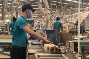 Ngành gỗ bứt tốc, xuất khẩu vượt mốc 11 tỷ USD chỉ sau 8 tháng năm 2025