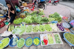 Sau mưa bão ngập úng, giá rau xanh tại Hà Nội tăng cao