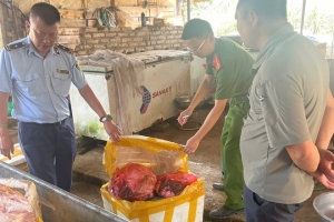 Hơn 1,5 tạ nội tạng bò bốc mùi bị phát hiện tại Sơn La