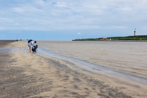 Cà Mau triển khai quy hoạch không gian biển quốc gia và vùng bờ đến năm 2030