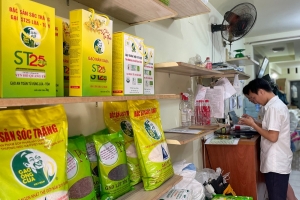Doanh nghiệp tư nhân và cuộc chiến chống xâm phạm thương hiệu: Từ thực tiễn đến chính sách