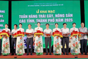50 đơn vị tham gia ‘Tuần hàng trái cây, nông sản các tỉnh, thành phố năm 2025’