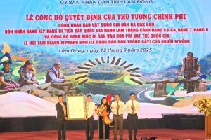 Lâm Đồng: Đàn đá Đắk Sơn được công nhận là bảo vật quốc gia