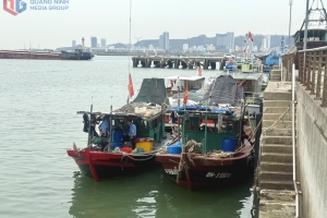 Quảng Ninh: Kiểm soát chặt hoạt động khai thác thủy sản