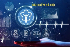 Hơn 22.000 doanh nghiệp ở Hà Nội chậm đóng bảo hiểm xã hội, Apax dẫn đầu với hơn 62 tỷ đồng