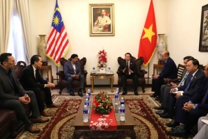 Phó Thủ tướng Trần Hồng Hà tiếp lãnh đạo một số hiệp hội, doanh nghiệp Malaysia